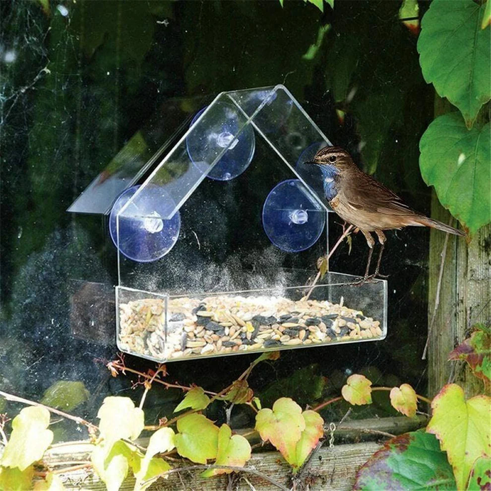 Transparentes Vogelhaus mit Saugnäpfen – Natur hautnah erleben am Fenster