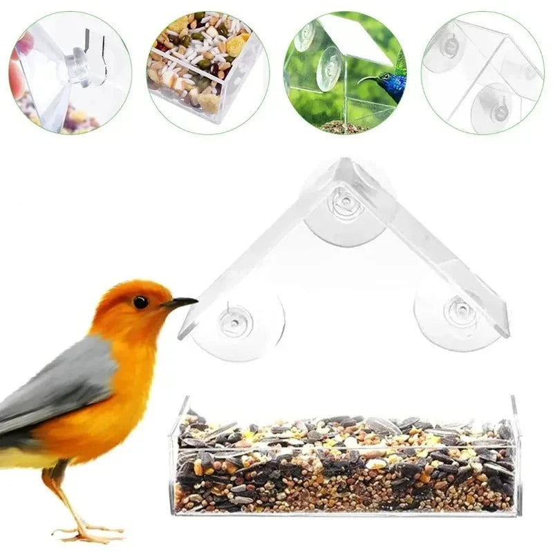 Transparentes Vogelhaus mit Saugnäpfen – Natur hautnah erleben am Fenster