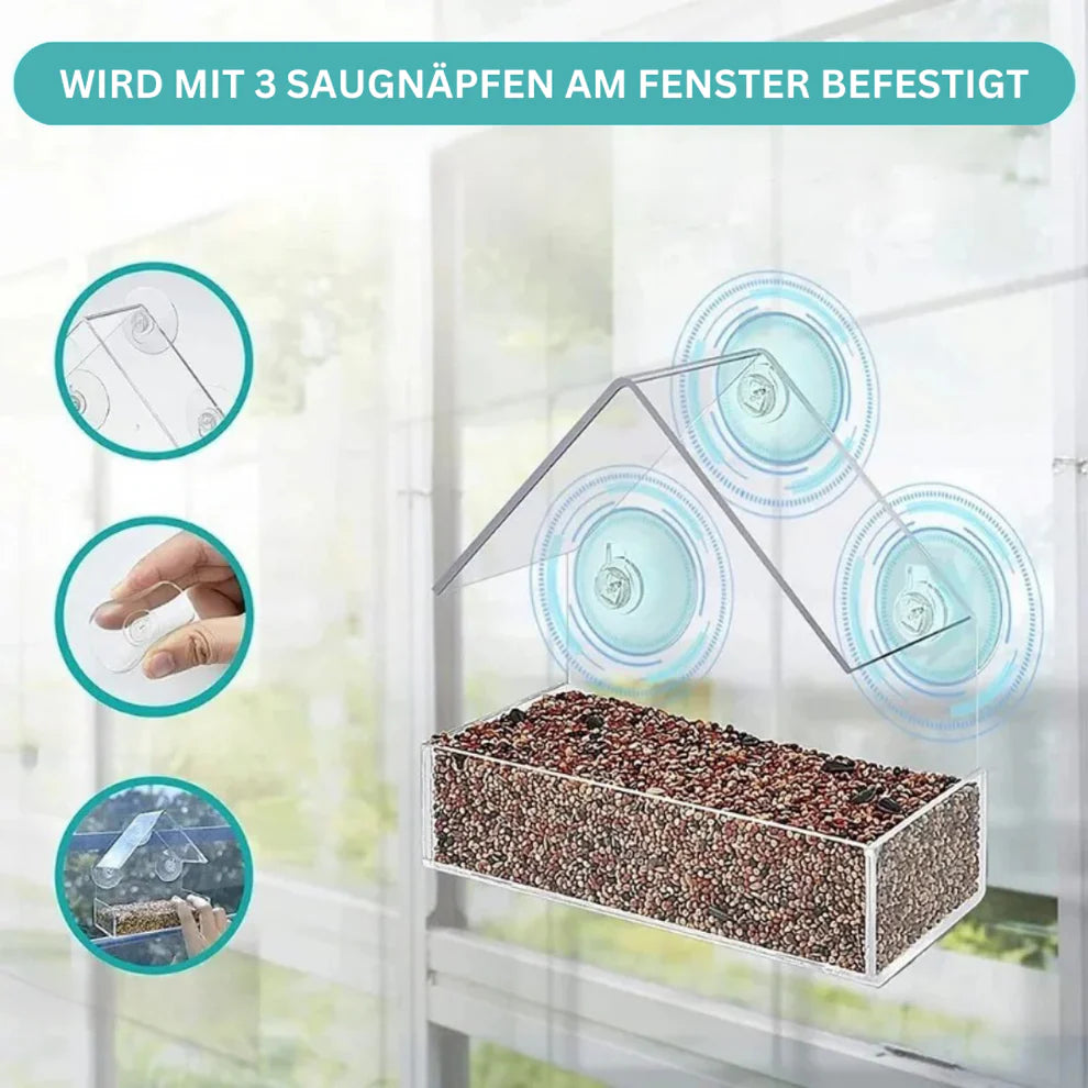 Transparentes Vogelhaus mit Saugnäpfen – Natur hautnah erleben am Fenster