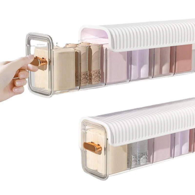 Ausziehbarer Gewürzorganizer mit Vorratsfächern – Aromaschutz, platzsparend & transparent für Küche und Haushalt